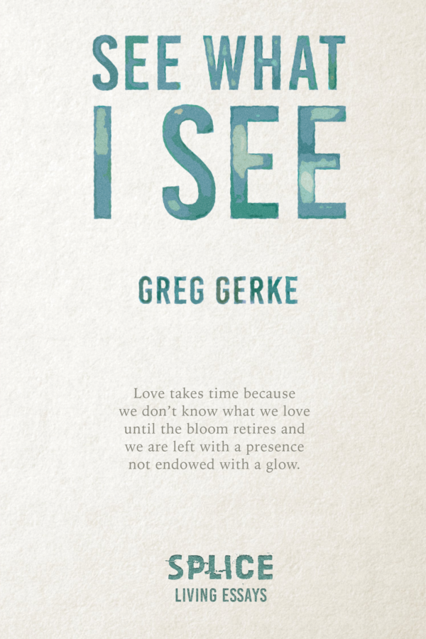 See What I See (Paperback)