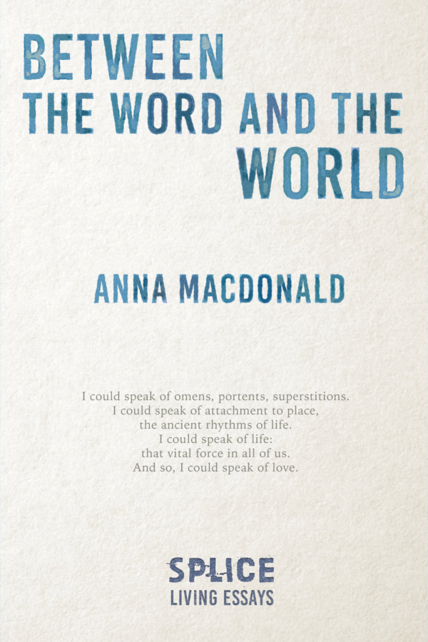 Between the Word and the World (Paperback)