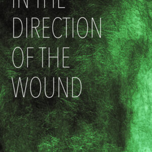 In the Direction of the Wound (ePub)