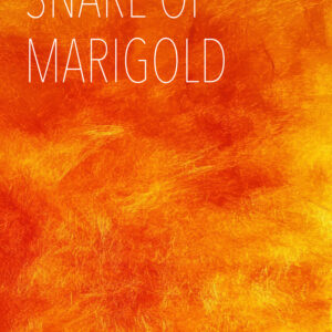 Snare of Marigold (Paperback)