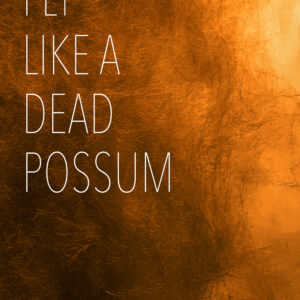 Fly Like a Dead Possum (ePub)