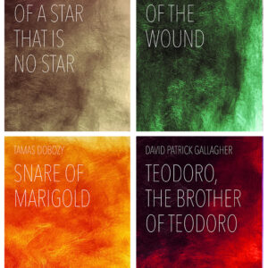 Four-Book Bundle (ePub Novellas): In the Silver Light of a Star That Is No Star, In the Direction of the Wound, Snare of Marigold, and Teodoro, the Brother of Teodoro