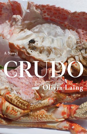 Olivia Laing
Crudo
Picador
£15.99 | Purchase here