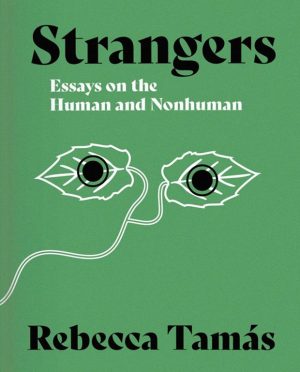Rebecca Tamás
Strangers
Makina Books
£14.00 | Purchase Here